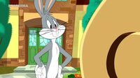 Looney Tunes Show  V79yl8fql9re_t